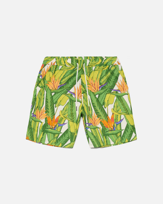 Pantalones cortos con estampado de aves del paraíso