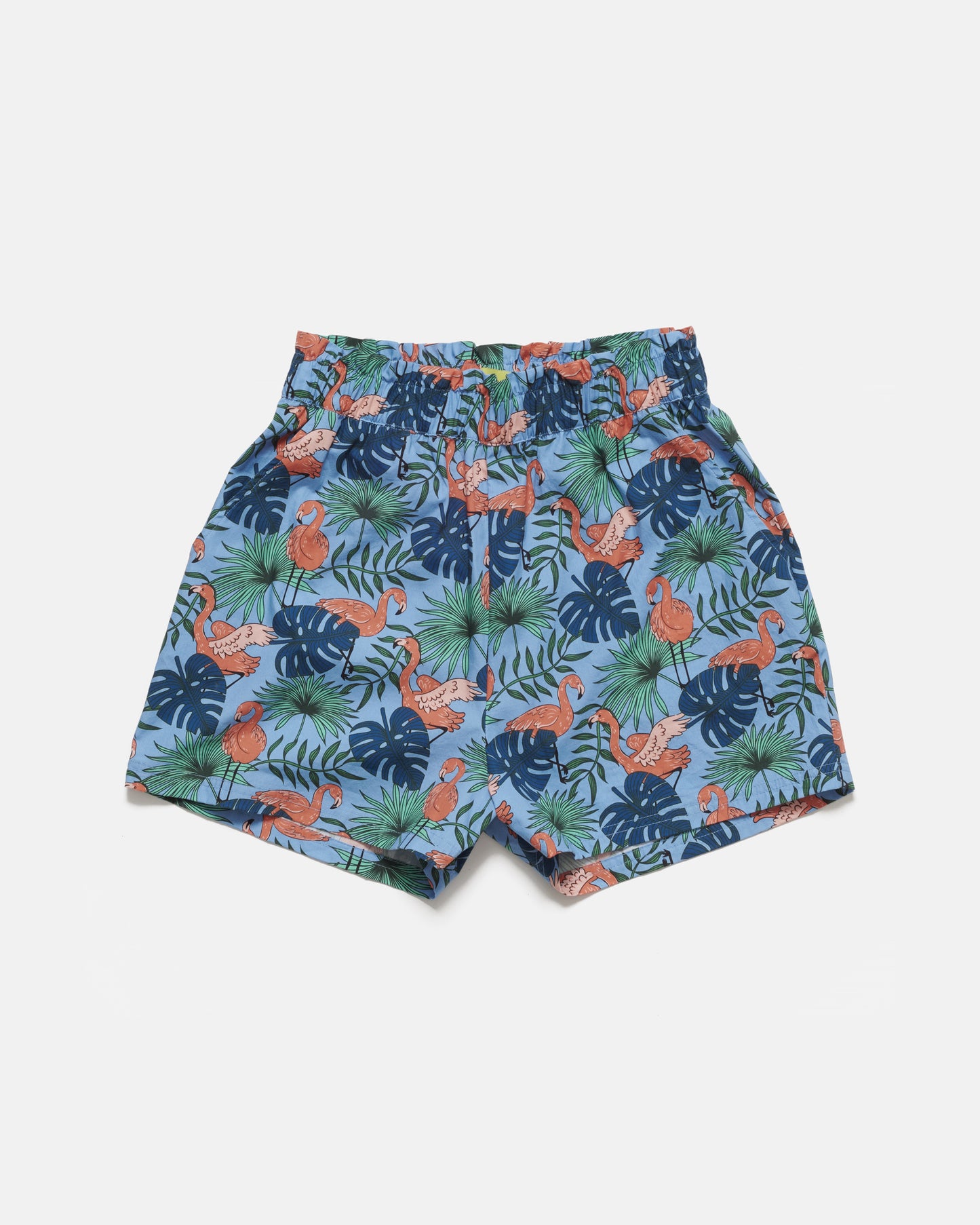 Women's Flamingos Print Shorts