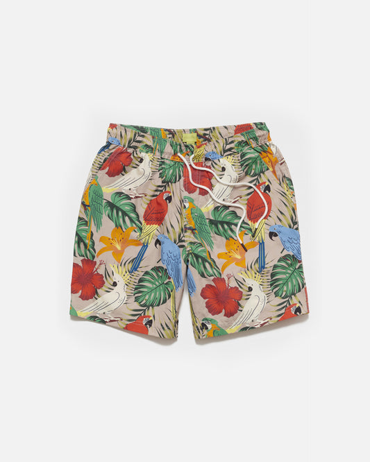 Exotic Birds Print Shorts